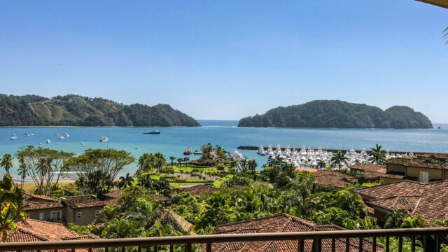 IMG_6989 IMG_6989